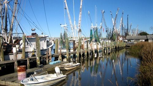 Shrimp season is set to open this week in waters off the Georgia coast.