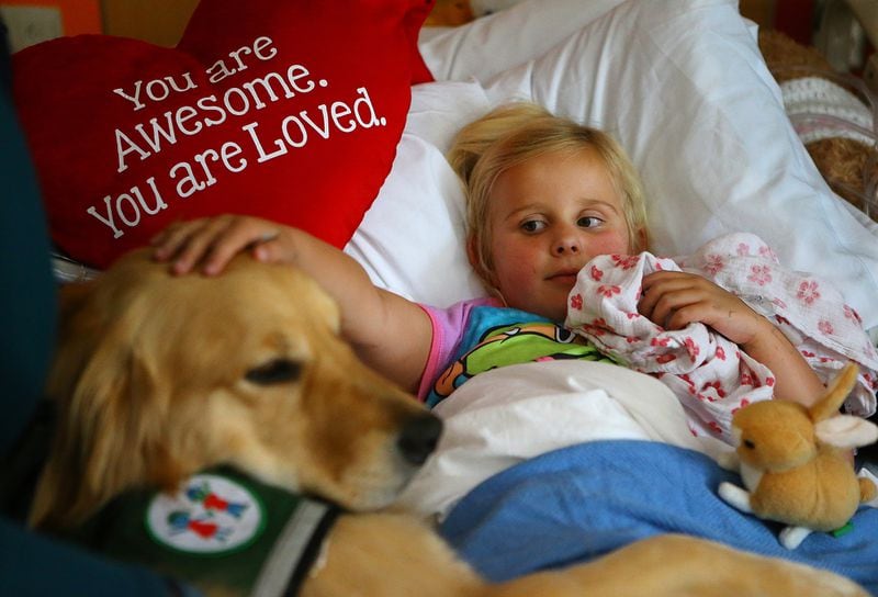 In this 2015 file photo, Emma Anderson, who is 5 at the time, is comforted by Uno, a therapy dog at the Sibley Heart Center at Egleston. Curtis Compton / ccompton@ajc.com