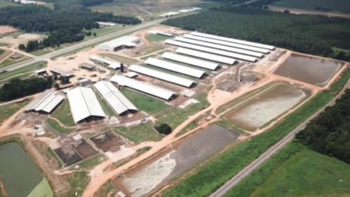 An overhead shot of a Sumter County dairy farm that is the object of a federal lawsuit. Waste lagoons are pictured facing U.S. 19.