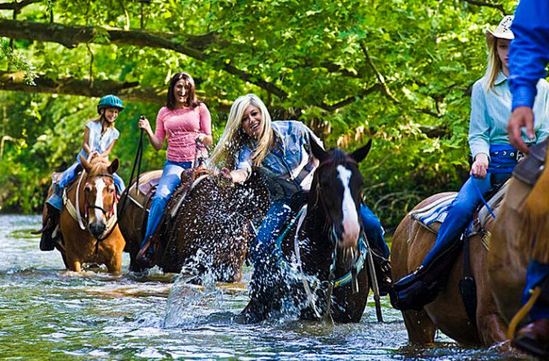 Horseback riding through the Little Tennessee River in Dillard offers breathtaking mountain views.