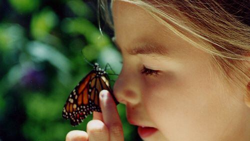 Get up close and personal with butterflies during the Chattahoochee Nature Center’s festival for fluttering creatures.