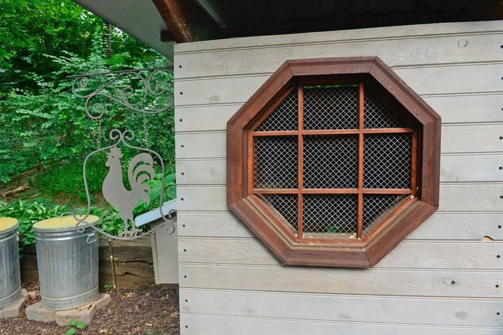 Photos: YA author’s Decatur home shows off her literary flair, ‘chicken fortress’