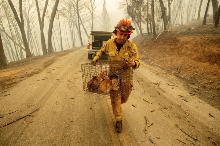 Photos: Deadly wildfires blaze through northern, southern California