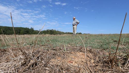 A drought damaged field in Gordon County. BOB ANDRES /BANDRES@AJC.COM
