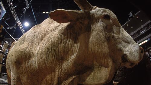 17 Feb 2001:  A close up view of a bull in the pen taken during the Pro Bull Riders Bud Light Cup at the Anaheim Pond in Anaheim, California. (Photo: Donald Miralle /Allsport/Getty Images)