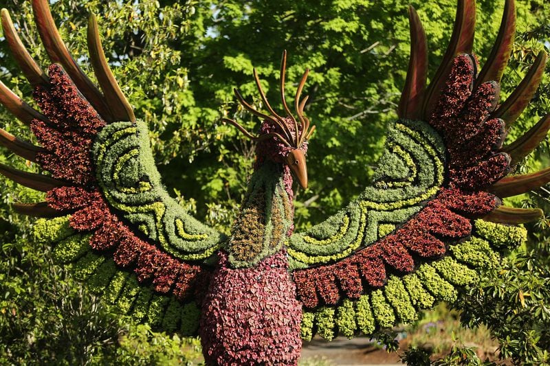 The Phoenix sculpture is one of the delicate works of art in Imaginary Worlds at Atlanta Botanical Gardens on Monday, April 30, 2018, in Atlanta.     Curtis Compton/ccompton@ajc.com