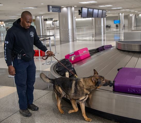 Clayton County Police's Antonio Kendrick watches his K-9, Homer, sniff luggage for drugs in the E Concourse. The U.S. Customs and Border Protection Office of Field Operations Port of Atlanta hosted a two-day K-9 training conference at Hartsfield-Jackson Atlanta International Airport (ATL). K-9 detection dogs from the U.S. Customs and Border Protection, Georgia Department of Correction, Georgia State Patrol, Union City, Newnan, Bowden Police and Clayton County Police participated in training exercises. PHIL SKINNER FOR THE ATLANTA JOURNAL-CONSTITUTION.