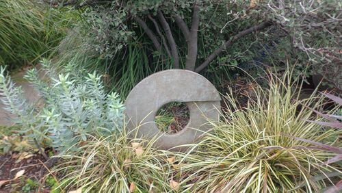 Asian modern disks stand out to carry the garden through winter doldrums. (Maureen Gilmer/TNS)