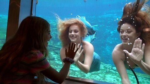 Weeki Wachee Springs, the classic yesteryear roadside attraction, became a Florida state park in 2008 and still offers mermaid shows daily in its submerged 400-seat amphitheater.
Courtesy of Maurice Rivenbark/Visit Florida