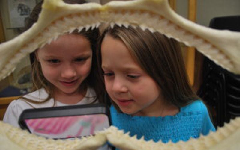 Tellus Science Museum will host specially themed programs and activities over spring break.
