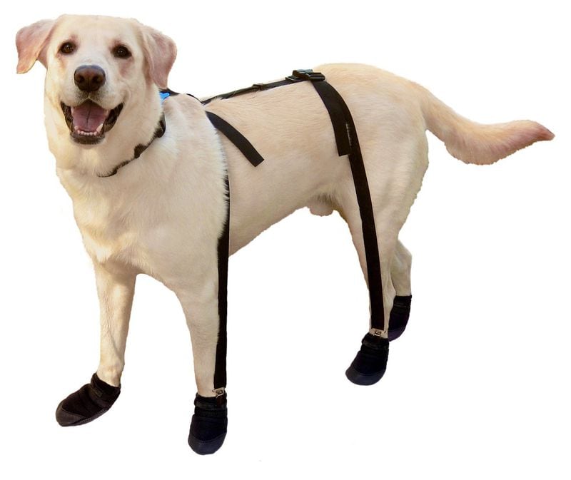 Canine Footwear shoe suspenders