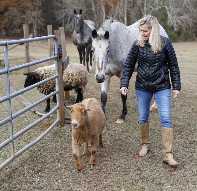Marty Kemp with Butterscotch the goat and other four-legged members of the Kemp family. AJC photo: Bob Andres