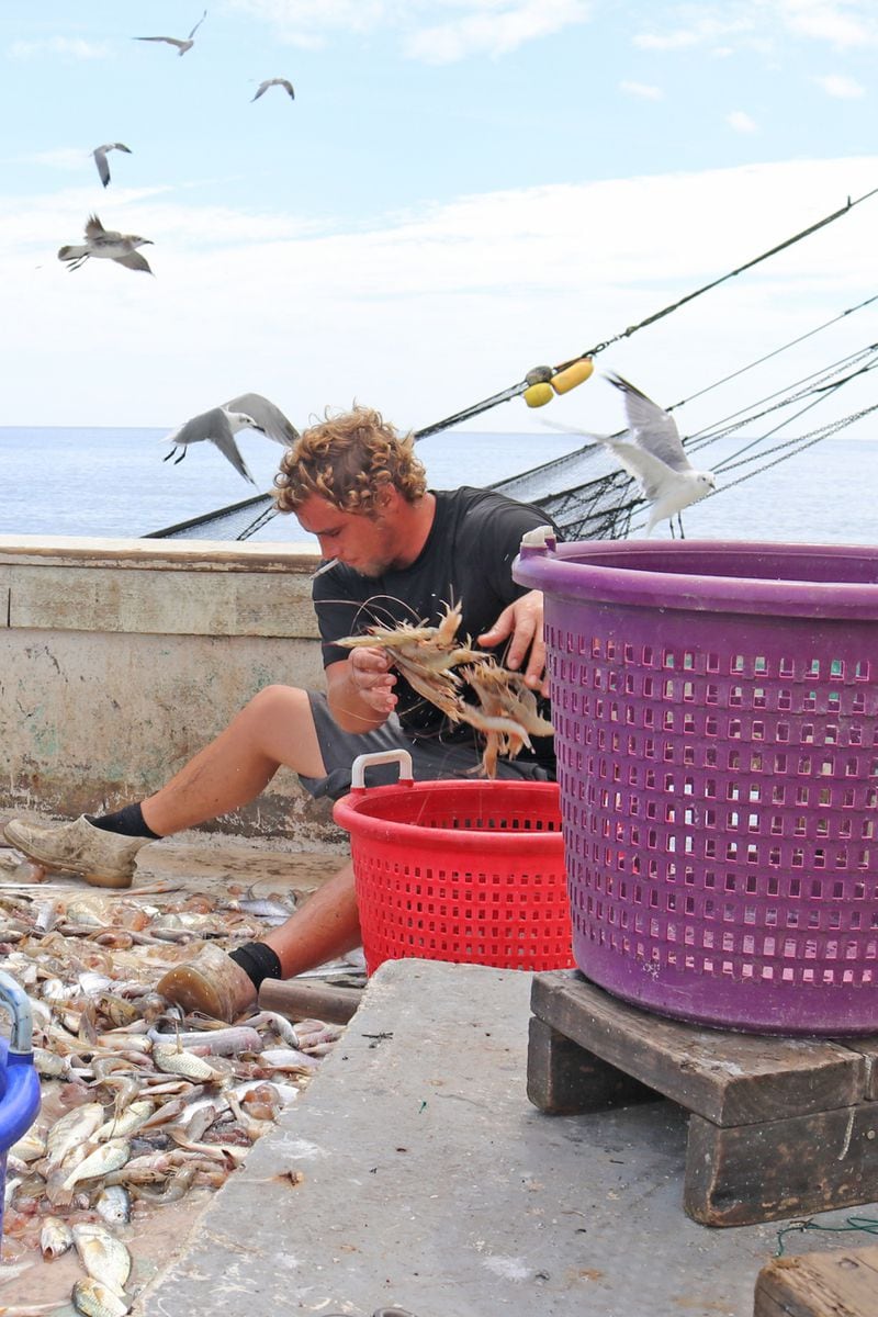 Jake Poppell sorts the shrimp from the day's catch.
Contributed by Eric Dusenbery