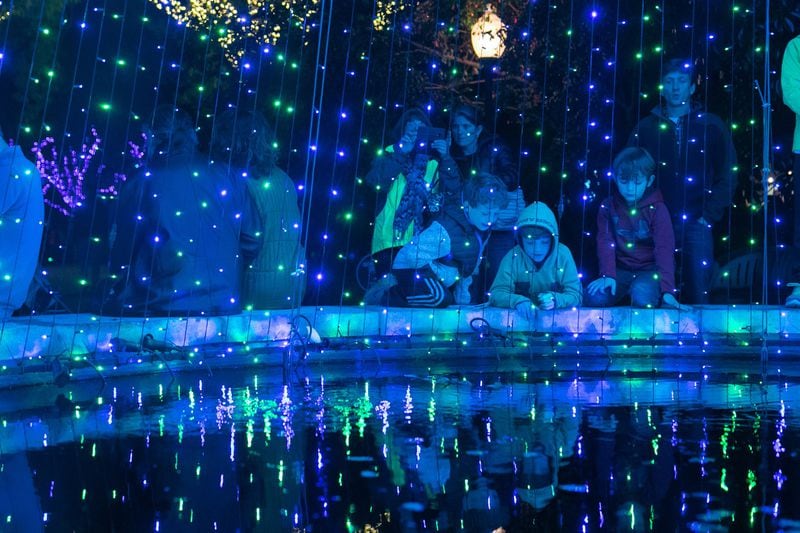 The Atlanta Botanical Garden’s Garden Lights, Holiday Nights has a new twist on last year’s popular towering three-dimensional light curtain.