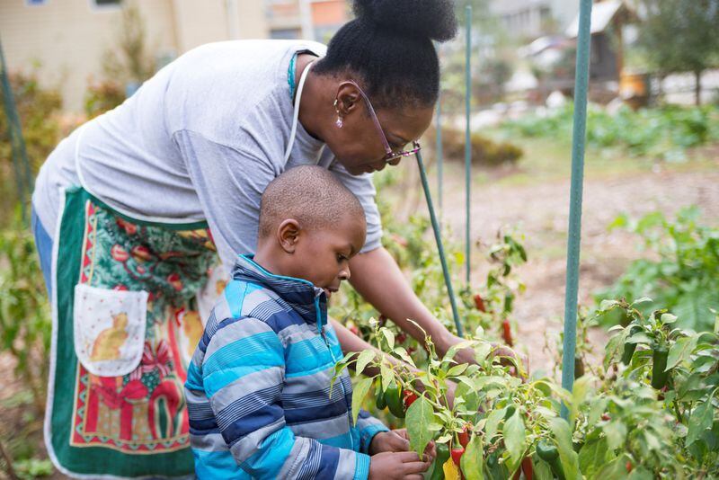 Atlanta Habitat homeowner Jamilah Najeeullah and her great-grandson Amir pick peppers from the community garden near her new home in the English Avenue community. CONTRIBUTED BY TOSH BYRD
