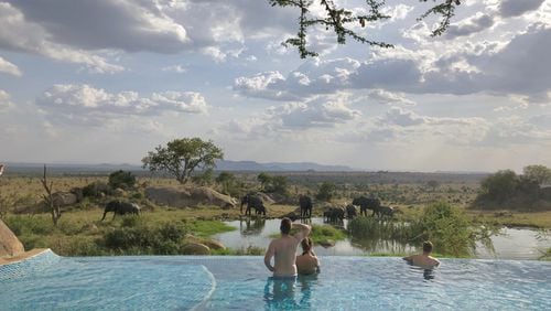An Infiniti pool with a view. Guests observe elephant families sipping from the local watering hole at the Four Seasons Serengeti Lodge in Tanzania. (Lynn O’Rourke Hayes)