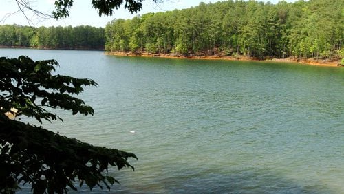 An Ellijay man died Thursday morning after being pulled from 15 feet of water in Lake Allatoona, according to officials.