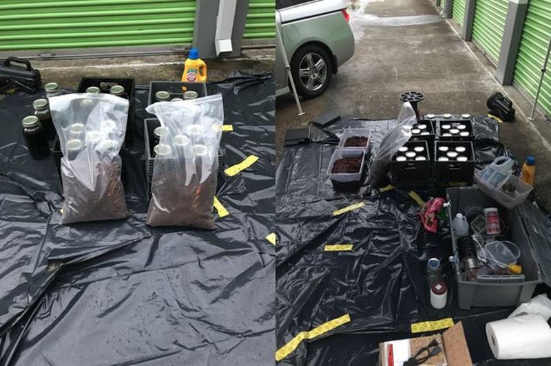 Police also seized ingredients needed to manufacture DMT such as lye, vinegar and root bark, as well as several tools used to combine the ingredients, authorities said.
