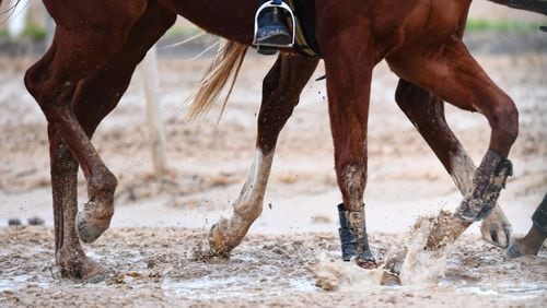 The USDA has issued a new rule to help protect horses from an abusive practice known as soring.