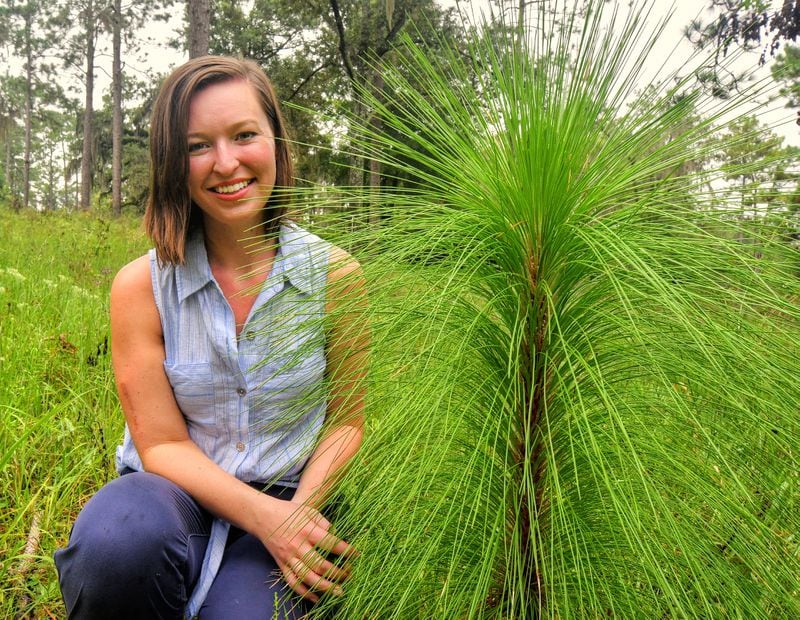 Casey Cox with a juvenile longleaf pine along the ridge on the western edge of the property. The Flint River is about 100 yards from here. (Chris Hunt for The Atlanta Journal-Constitution)