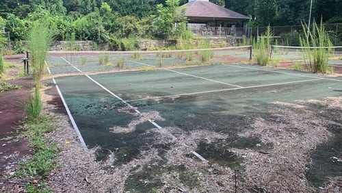 The tennis courts at the club have become overgrown with weeds and shrubs.