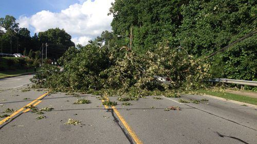 A tree blocked Roswell Road in the 7700 block. (Credit: Sandy Springs Police Department)