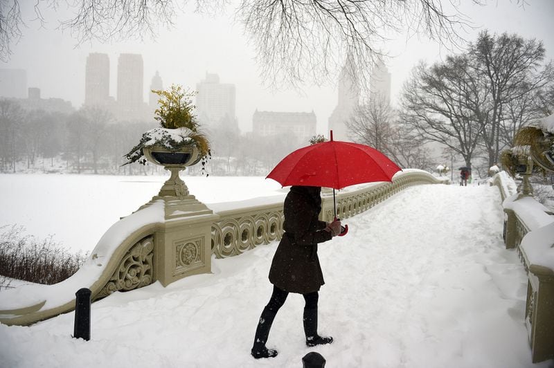 WINDY WALK--NEW YORK, NY - JANUARY 23: A woman walks in strong winds and heavy snow fall in Central Park on January 23, 2016 in New York City. A major Nor'easter is hitting much of the East Coast and parts of the South as forecasts warn of up to two feet of snow in some areas. (Photo by Astrid Riecken/Getty Images) *** BESTPIX ***