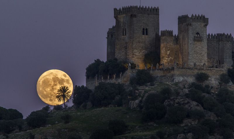 The moon rises behind the castle of Almodovar in Cordoba, southern Spain, on Sunday, Nov. 13, 2016. The Supermoon on November 14, 2016, will be the closest a full moon has been to Earth since January 26, 1948. (AP Photo/Miguel Morenatti)