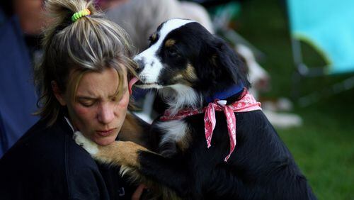 A dog licks the face of the owner during the Butch Cassidy Cup 2009, the German dog frisbee German championship, on August 29, 2009 in Karlsruhe, Germany.