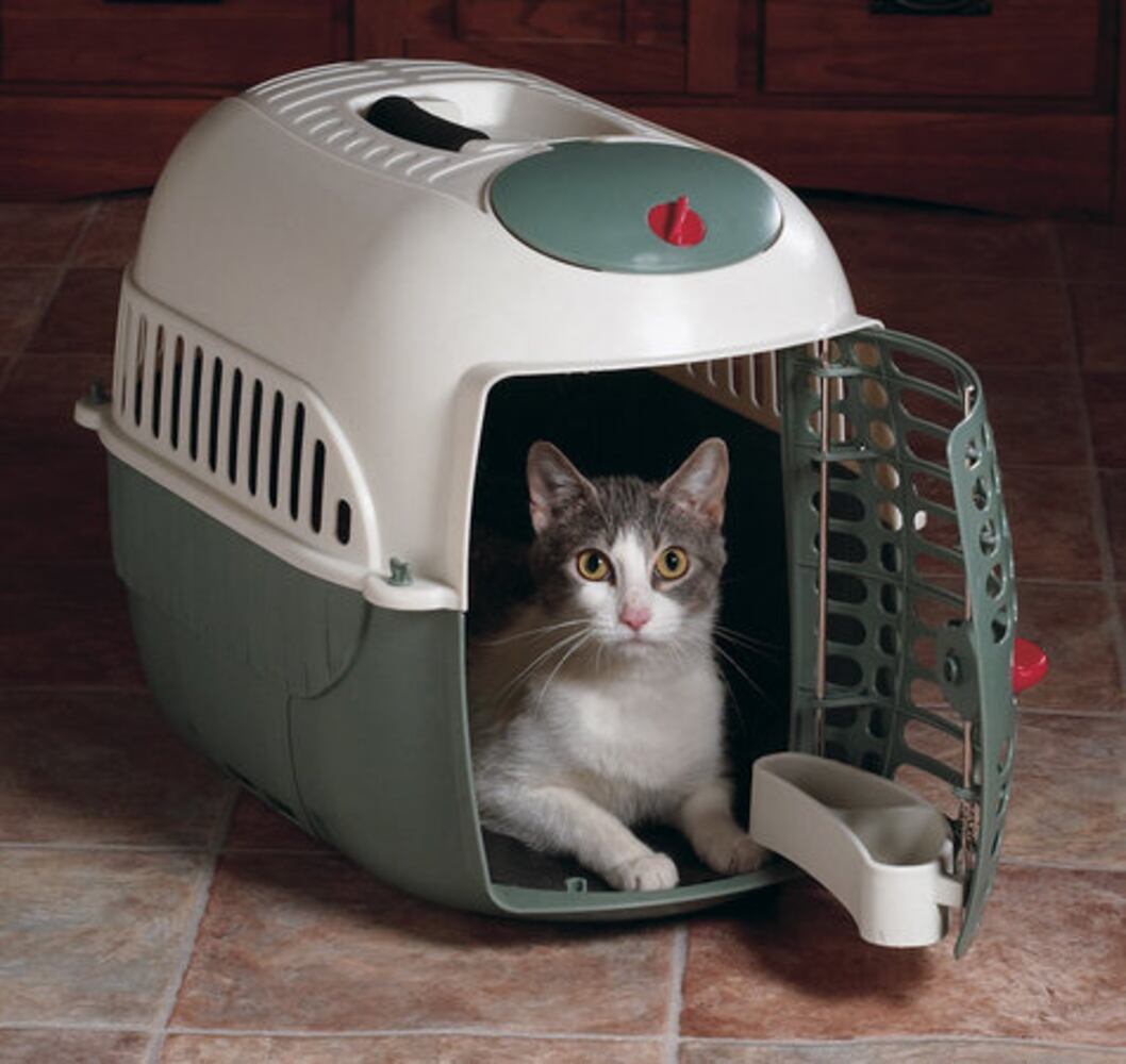 Stylish gear for dogs and cats