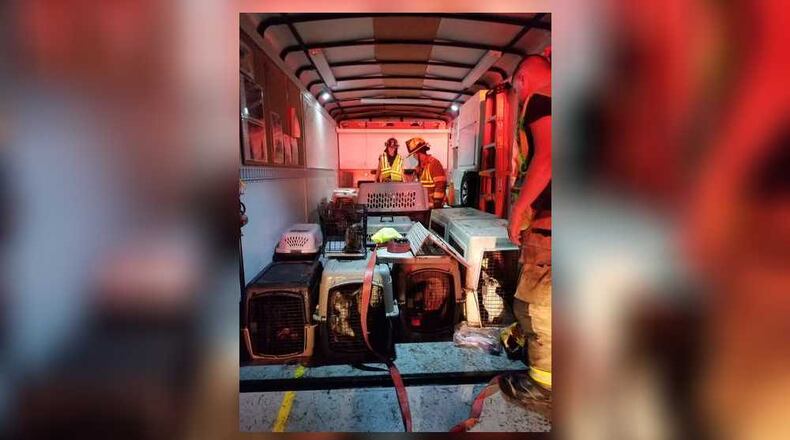 The stray dogs were being transported from Texas to a no-kill animal shelter in Pennsylvania when the crash occurred.
