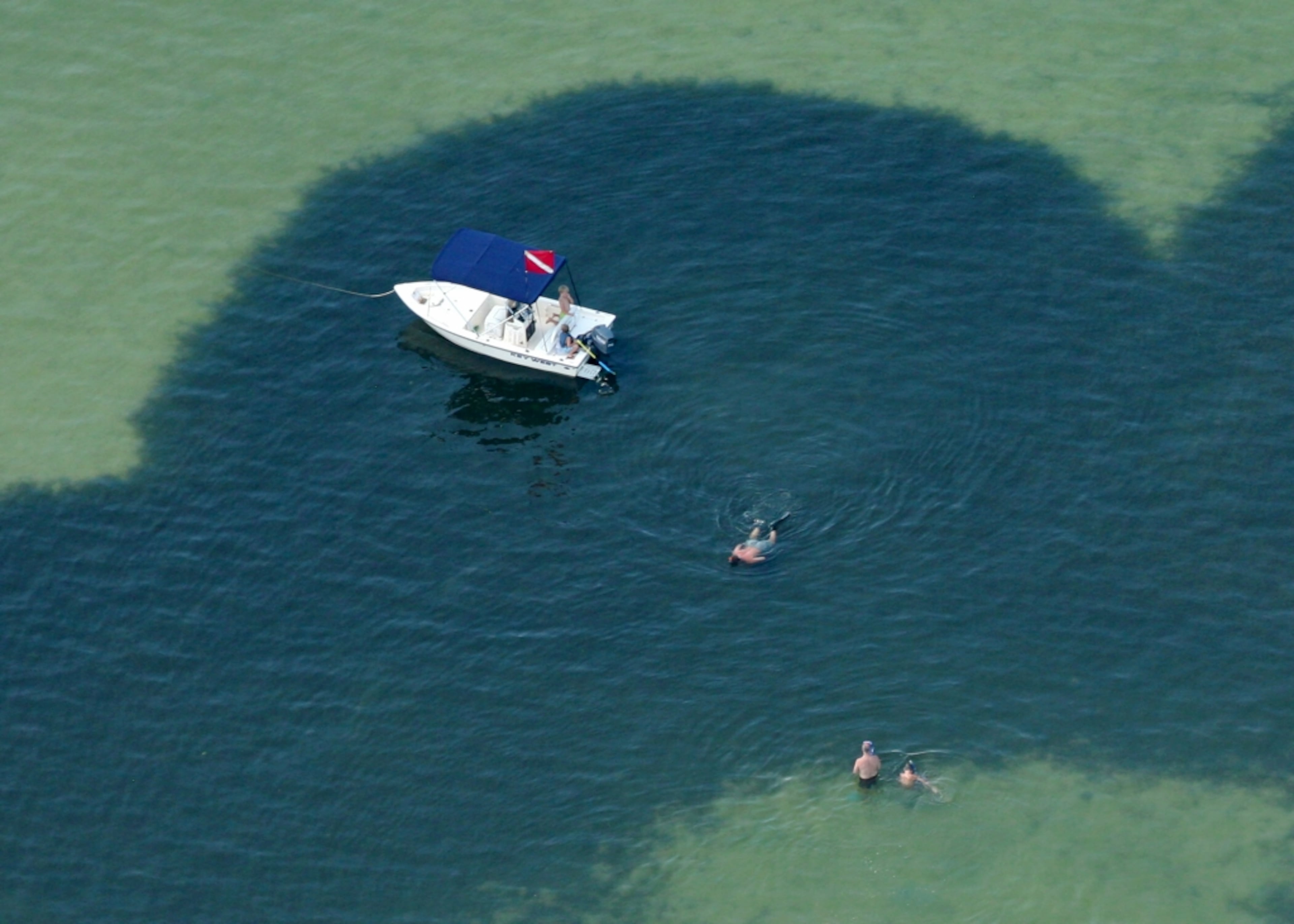 Scallops thrive in the plentiful seagrass beds of St. Joseph Bay in the Florida Panhandle.
(Courtesy/Gulf County TDC)