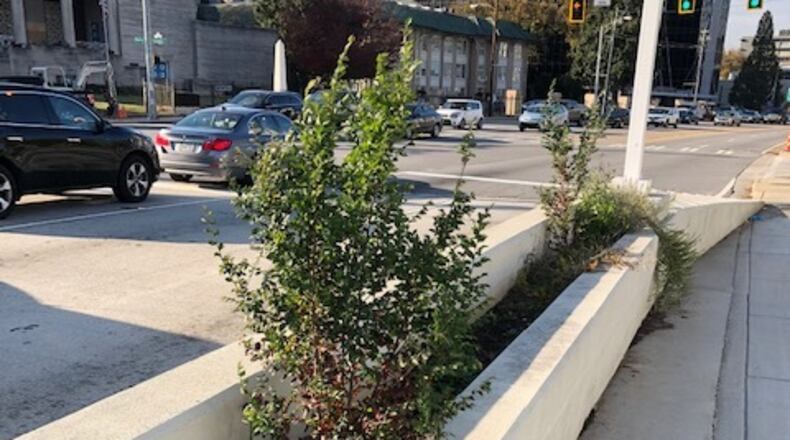 John Dark is concerned over beautfication efforts created by the Midtown Alliance. Photo/John Dark