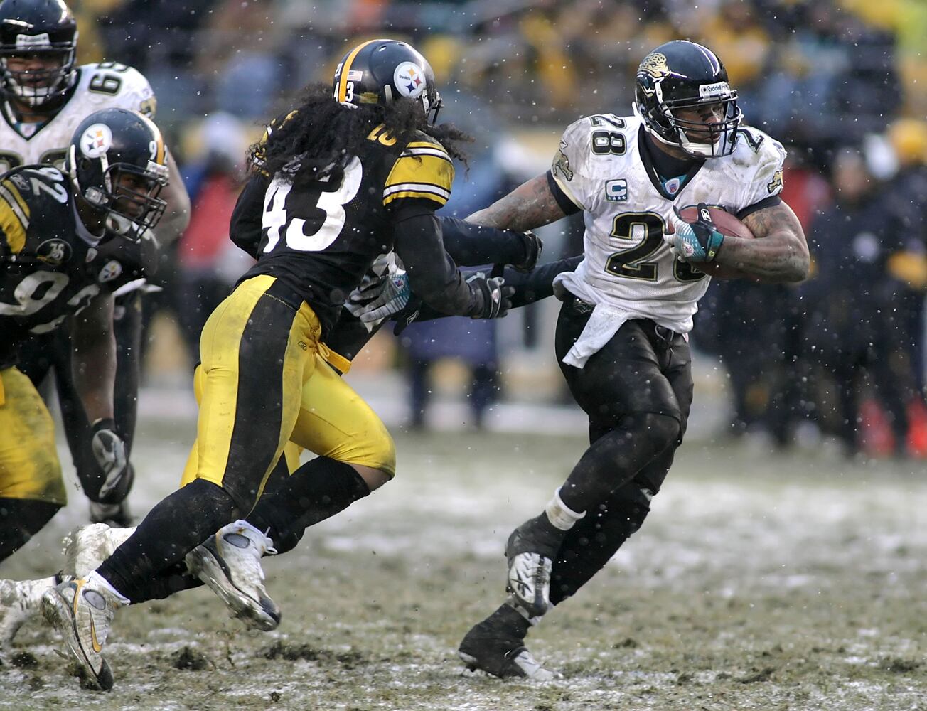 Troy Polamalu