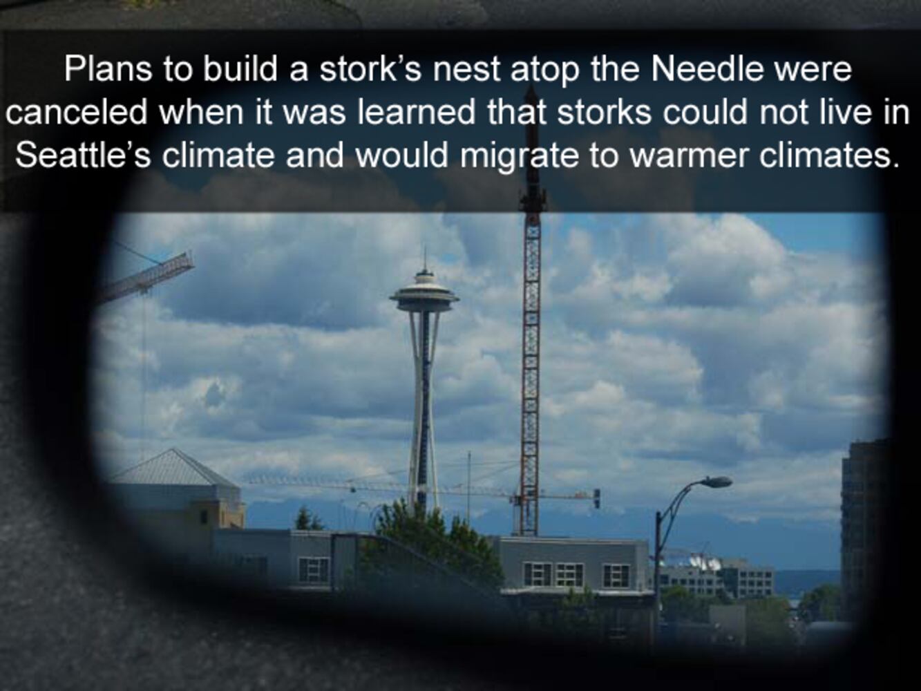 Fun Facts About The Space Needle