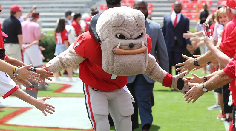 September 1, 2018 Athens: Hairy Dawg gives fans five during the No. 4 Georgia Bulldogs Dawg Walk arrival for the 2018 season opener against Austin Peay in a NCAA college football game on Saturday, Sept 1, 2018, in Athens.  Curtis Compton/ccompton@ajc.com