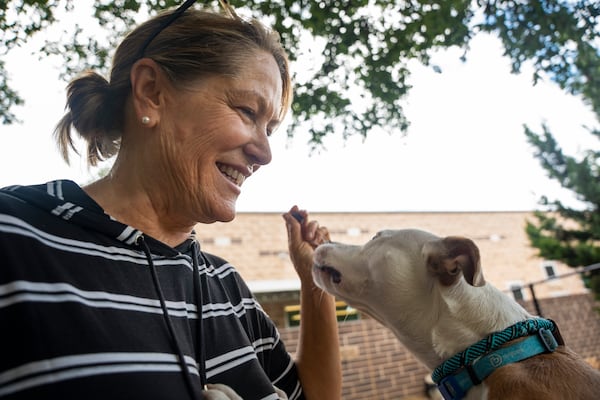 Volunteer and board member Jane McAuley feeds Angel Mist a treat at the DeKalb County Animal Shelter in Chamblee. (Olivia Bowdoin for the AJC)