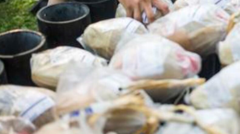 A West Georgia man has died after he was injured while he and friends were shooting fireworks. Trevor White died early Sunday after an injury in Tallapoosa, The Times-Georgian reported. (AP file photo)