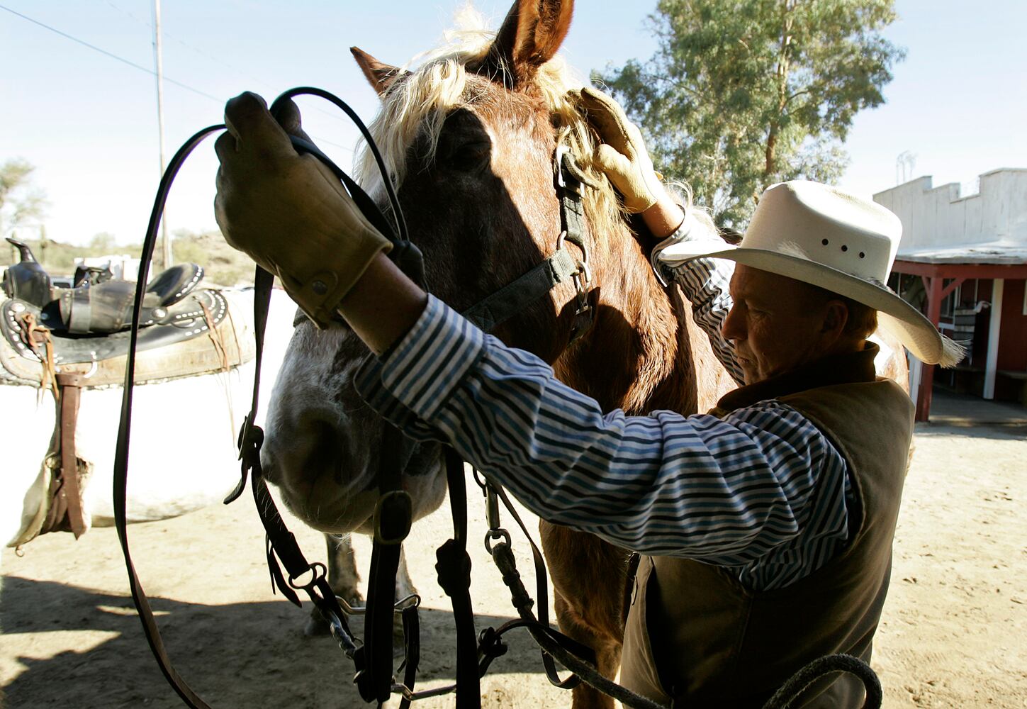 Take a tour on horseback