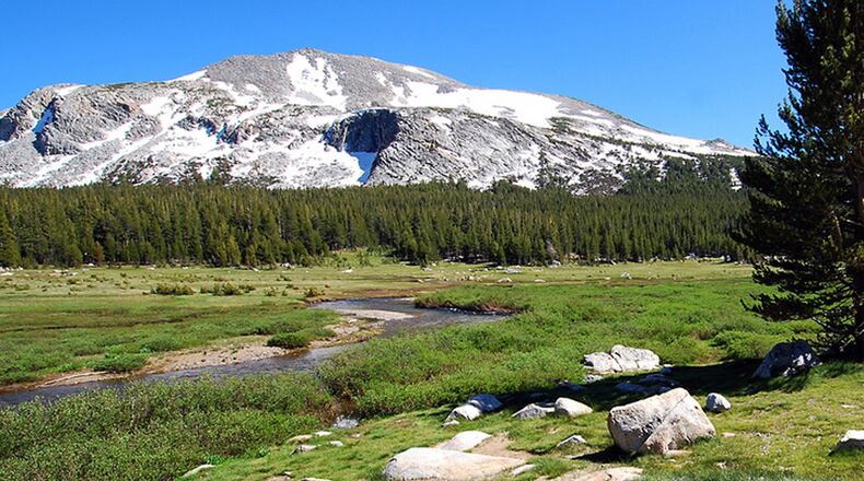 Photo caption: Yosemite National Park Photo credit: Gord McKenna