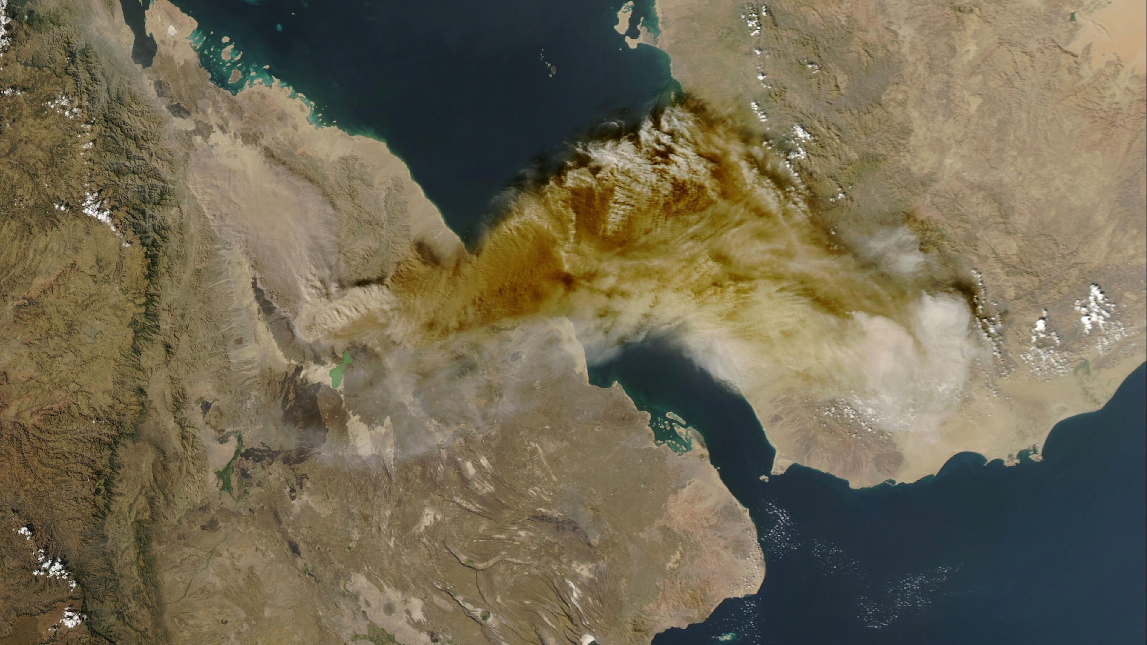 This satellite image released by NASA Worldview shows the Hayli Gubbi volcano in Ethiopia erupting on Nov. 23, 2025. (NASA Worldview via AP)