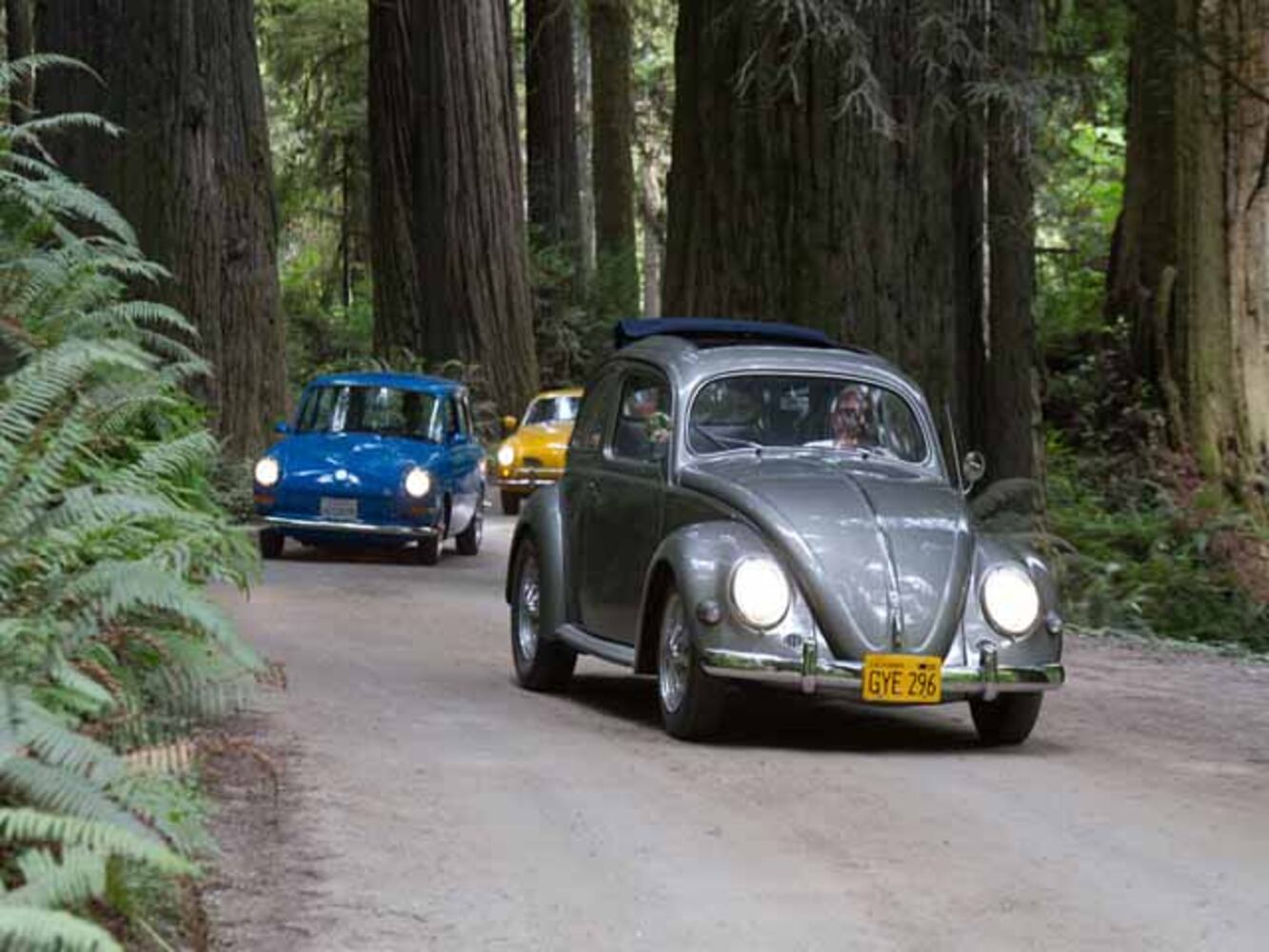 15th Annual Vintage VW Cruise