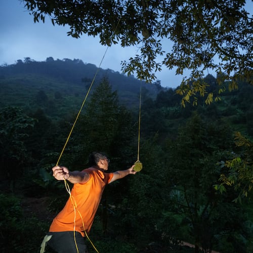 A durian harvester searches for ripe fruit in an orchard at dusk in Karak, Pahang state, Malaysia, Tuesday, June 23, 2026. (AP Photo/Vincent Thian)