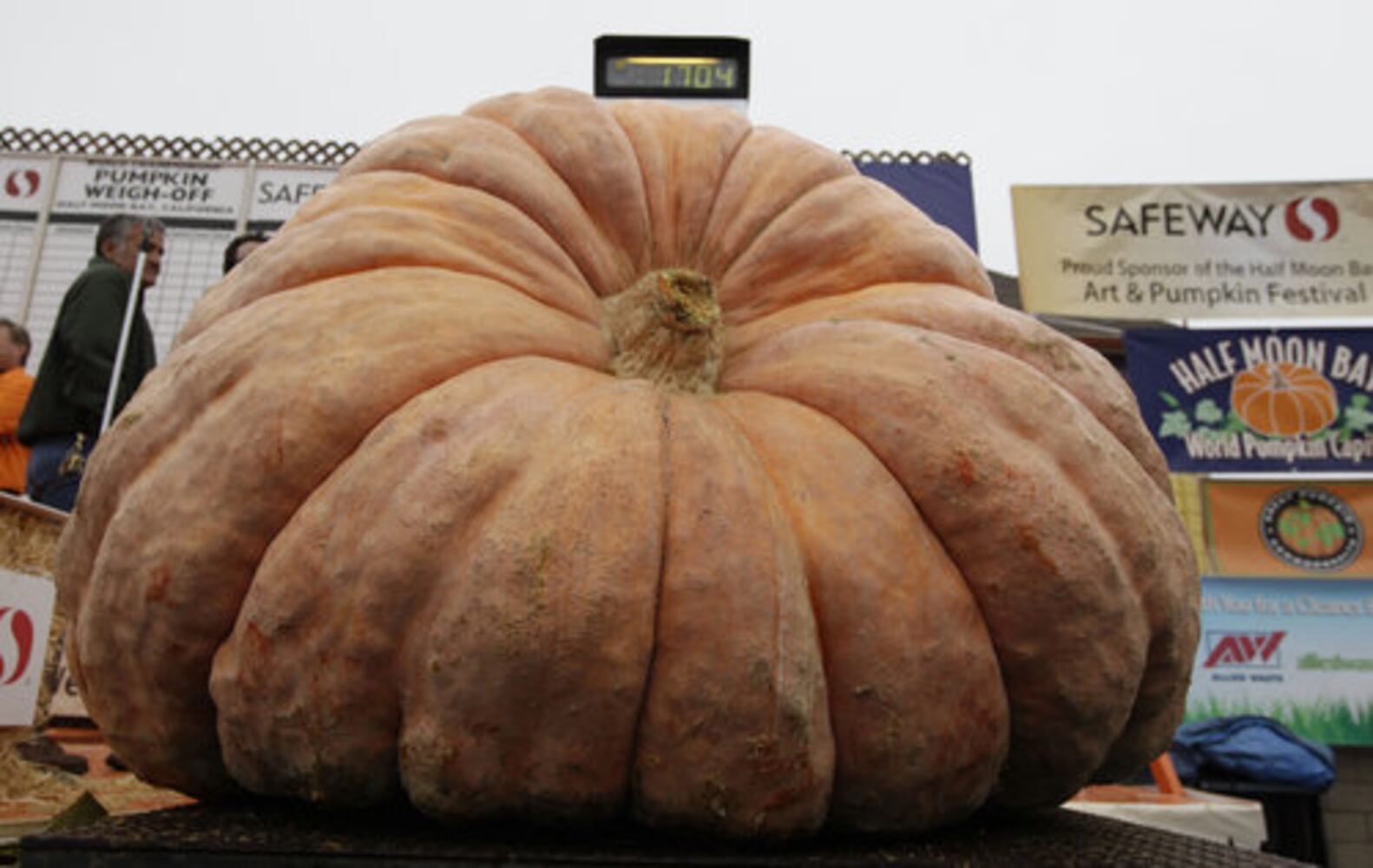 Half Moon Bay's giant pumpkin contest