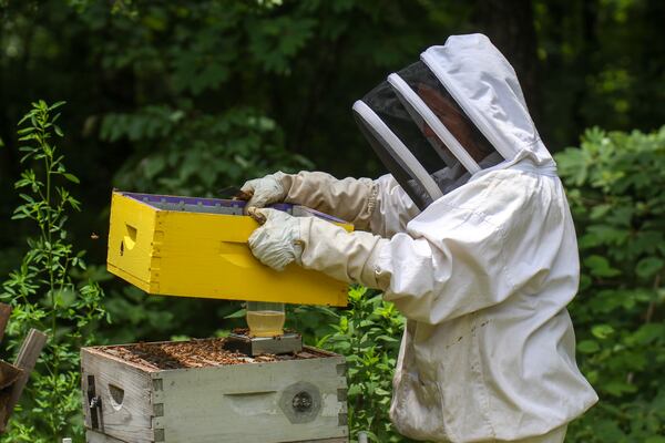 Bella Donna opens the hive to see the bees at her home in Rising Fawn, Georgia. (Photo Courtesy of Olivia Ross)