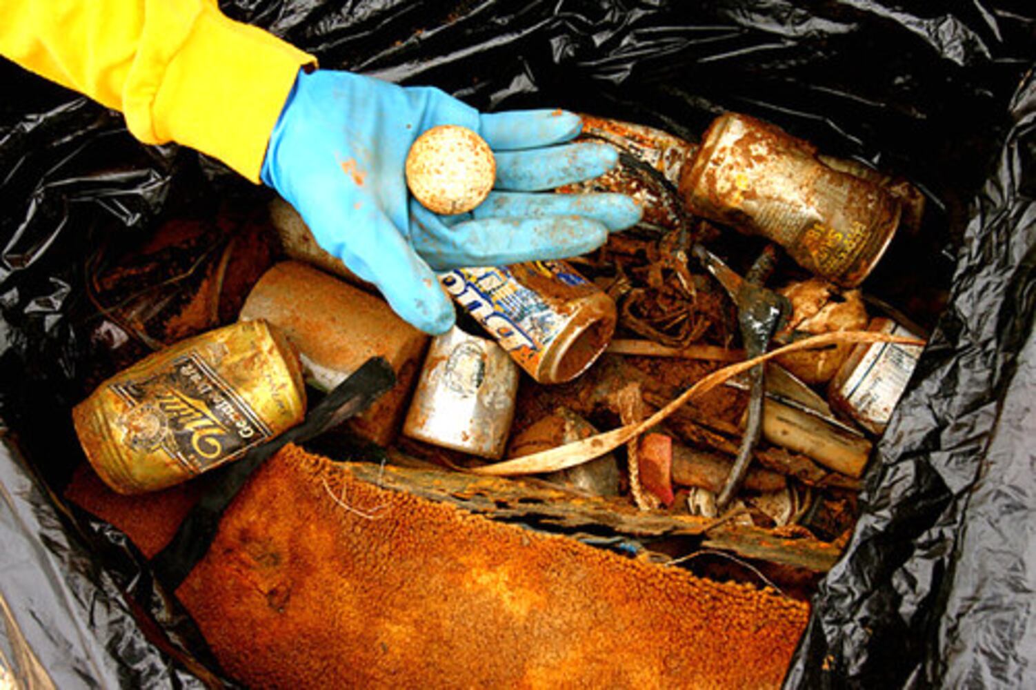 Lake Lanier cleanup