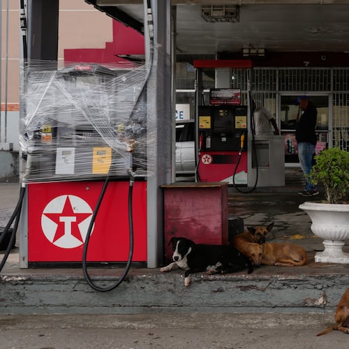Fuel pumps are covered in plastic at a gas station ahead of the arrival of Hurricane Melissa in Kingston, Jamaica, Sunday, Oct. 26, 2025. (AP Photo/Matias Delacroix)