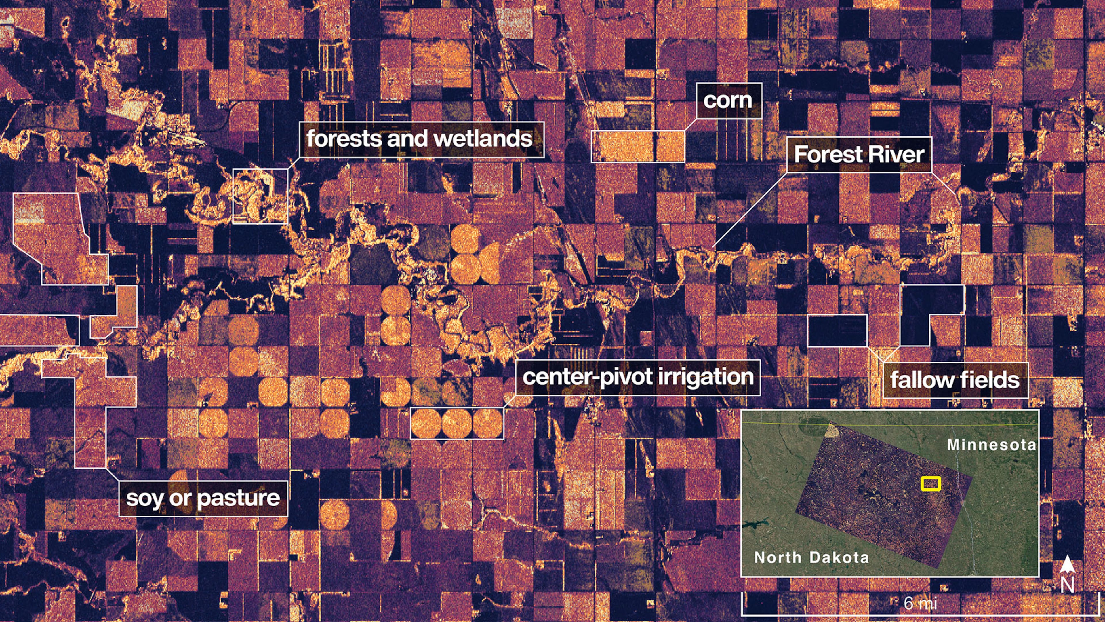 This image provided by NASA/JPL-Caltech on Aug. 23, 2025, NISAR imaged land adjacent to northeastern North Dakota’s Forest River, light-colored wetlands and forests line the river’s banks, while circular and rectangular plots throughout the image appear in shades that indicate the land may be pasture or cropland with corn or soy. (NASA/JPL-Caltech via AP)