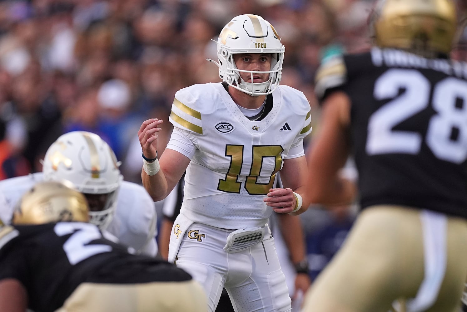 Georgia Tech Colorado Football