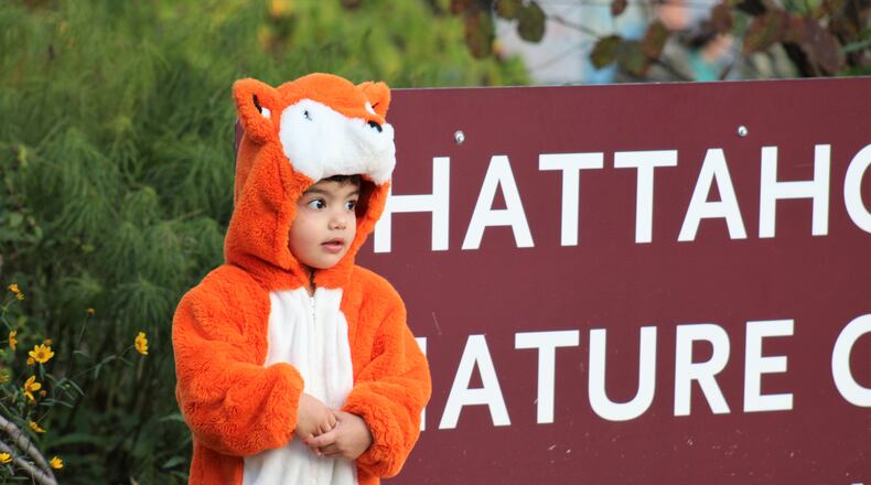 The Chattahoochee Nature Center is bringing back educational, non-scary fun for the 38th year with Halloween Hikes 6-10 p.m. Friday-Sunday, Oct. 27-29. (Courtesy Chattahoochee Nature Center)